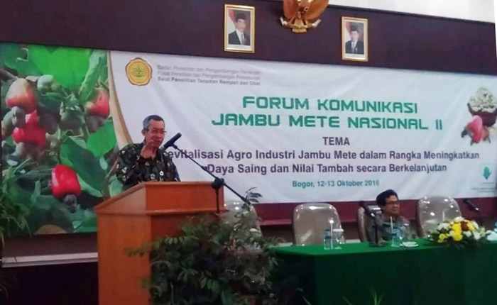 Balitbang Kementan Dukung Revitalisasi Agribisnis Jambu Mete dan Pendapatan Petani